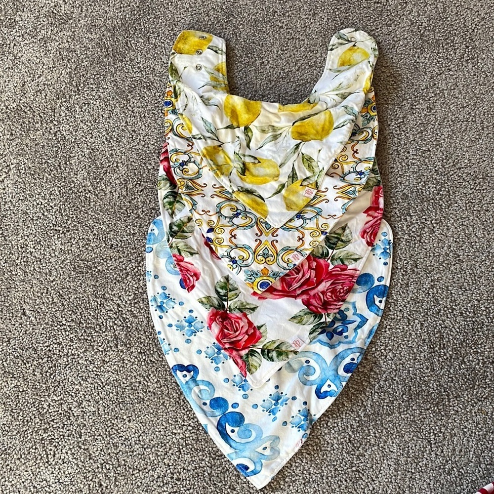 Posh Peanut Italy Bib Set